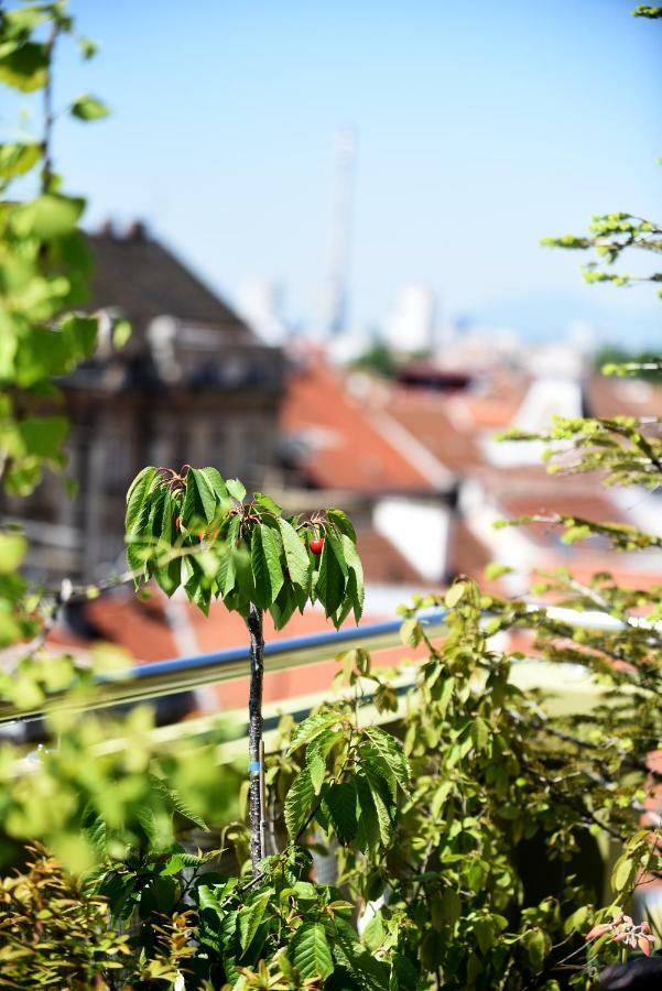 Zagreb Rooftops Apartment Bagian luar foto